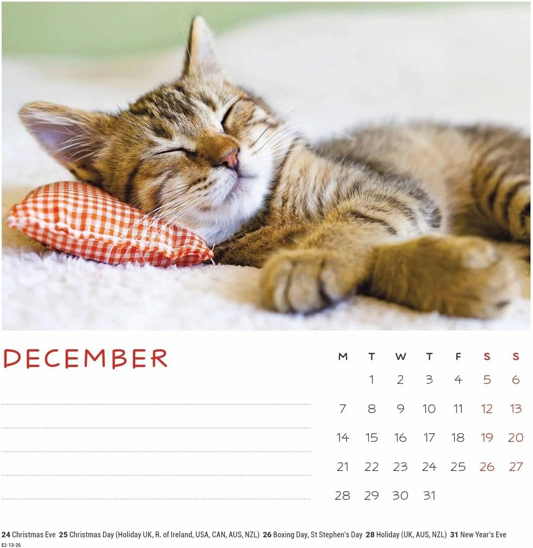 Carousel Worldwide, Cat Naps 2026 Easel Desk Calendar
