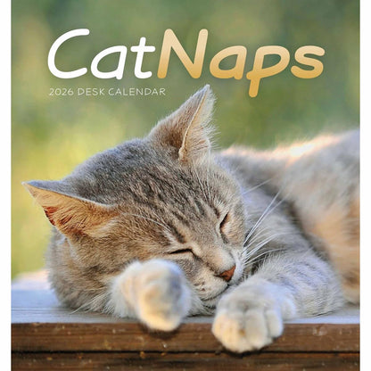 Carousel Worldwide, Cat Naps 2026 Easel Desk Calendar
