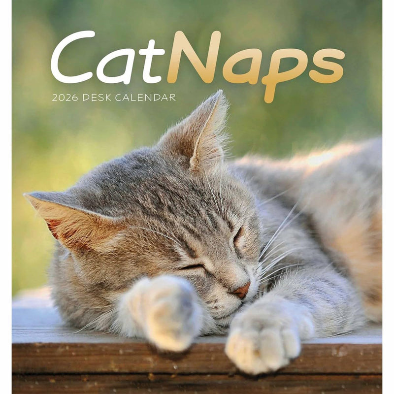 Carousel Worldwide, Cat Naps 2026 Easel Desk Calendar