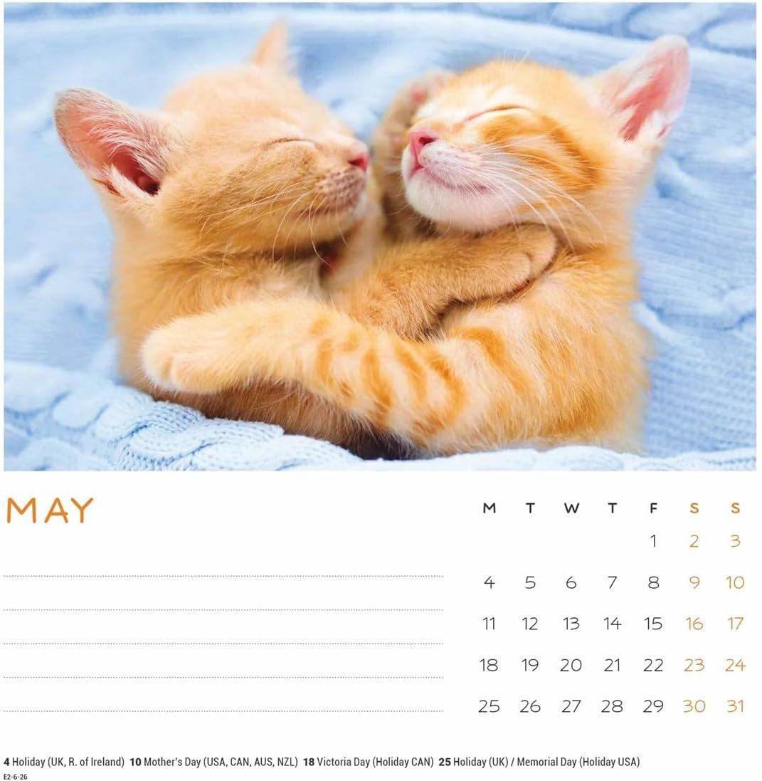 Carousel Worldwide, Cat Naps 2026 Easel Desk Calendar