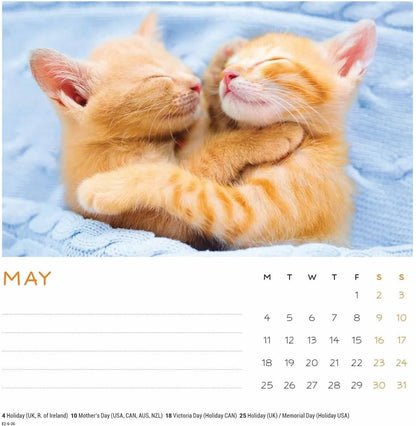 Carousel Worldwide, Cat Naps 2026 Easel Desk Calendar