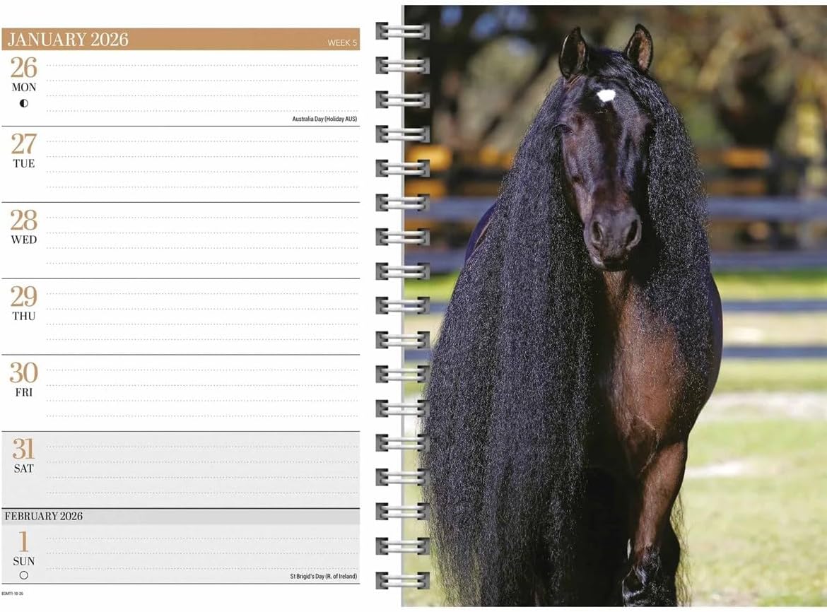 Carousel Calendars Horses A5 Diary 2026
