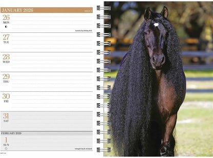 Carousel Calendars Horses A5 Diary 2026