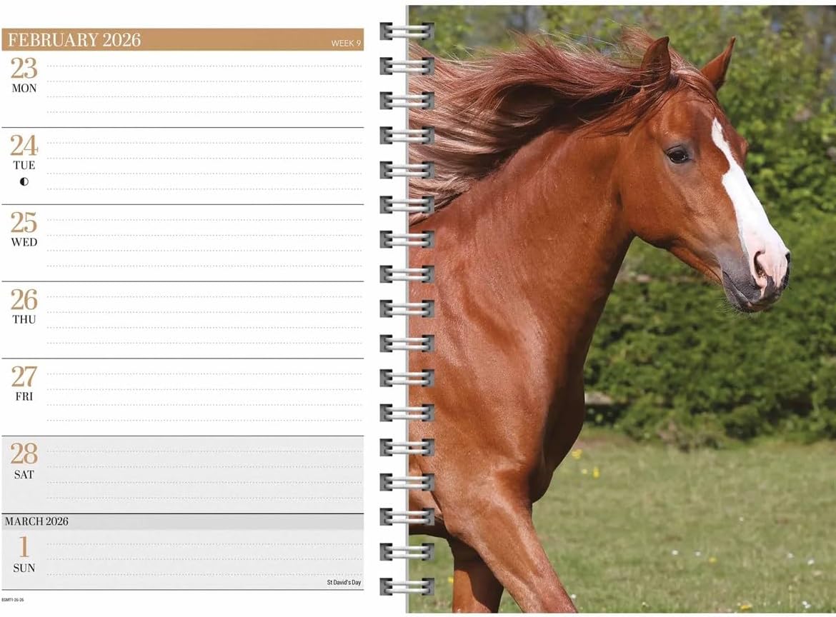 Carousel Calendars Horses A5 Diary 2026