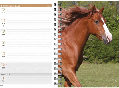 Carousel Calendars Horses A5 Diary 2026