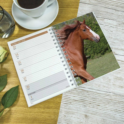 Carousel Calendars Horses A5 Diary 2026