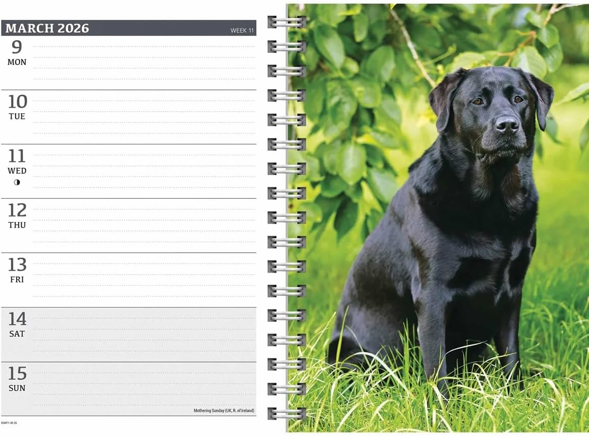 Carousel Calendars Black Labradors A5 Diary 2026