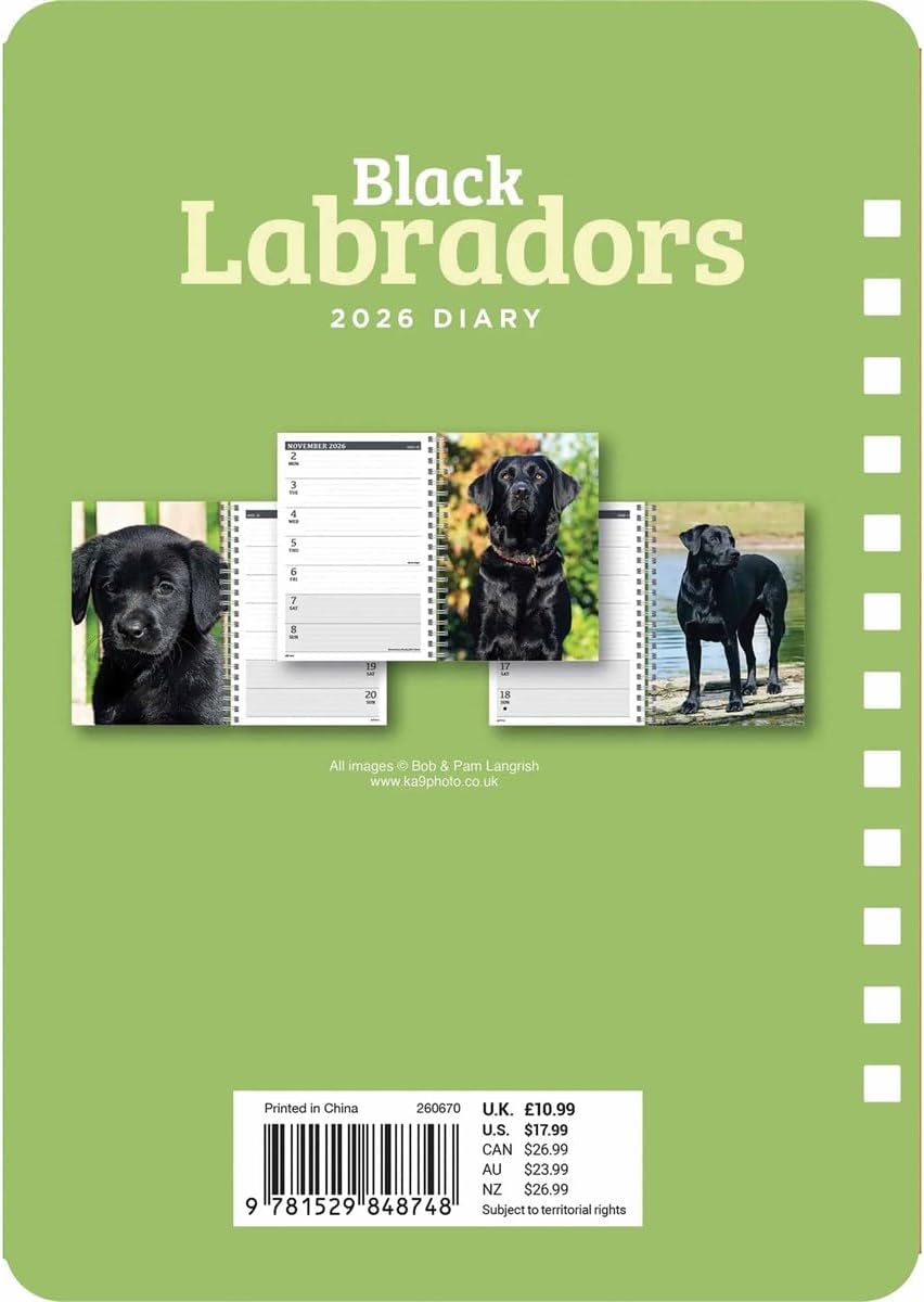 Carousel Calendars Black Labradors A5 Diary 2026