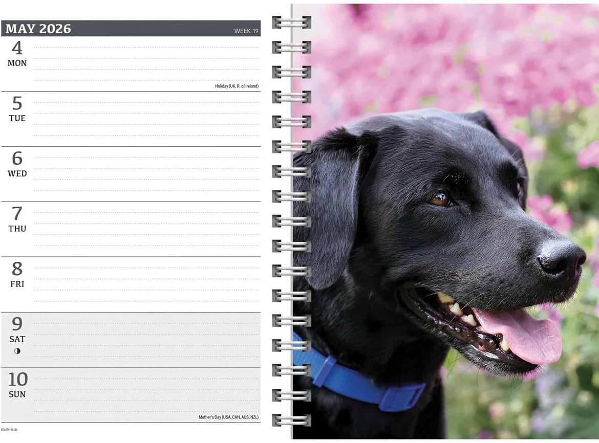 Carousel Calendars Black Labradors A5 Diary 2026