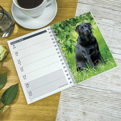 Carousel Calendars Black Labradors A5 Diary 2026