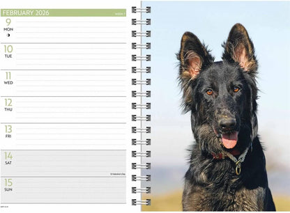 Carousel Worldwide, German Shepherds 2026 A5 Diary