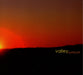 Sunburst