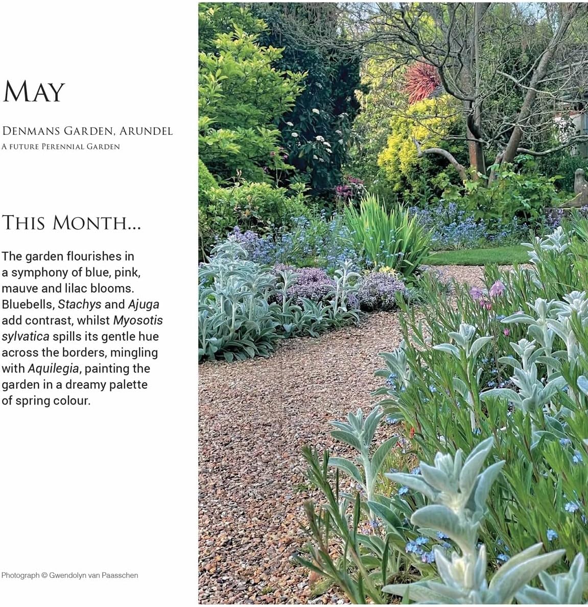 Carousel Worldwide, Beautiful Gardens, Alan Titchmarsh 2026 Slim Diary Planner