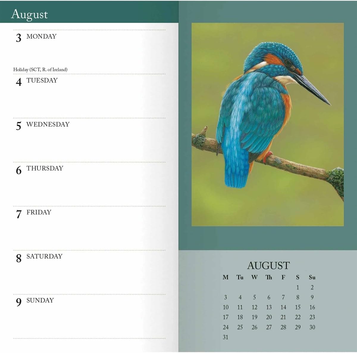 Carousel Worldwide British Wildlife in Art 2026 Slim Diary Planner – Week-to-View Pocket Diary, Illustrated Wildlife Cover, Organiser for Handbag or Jacket Pocket