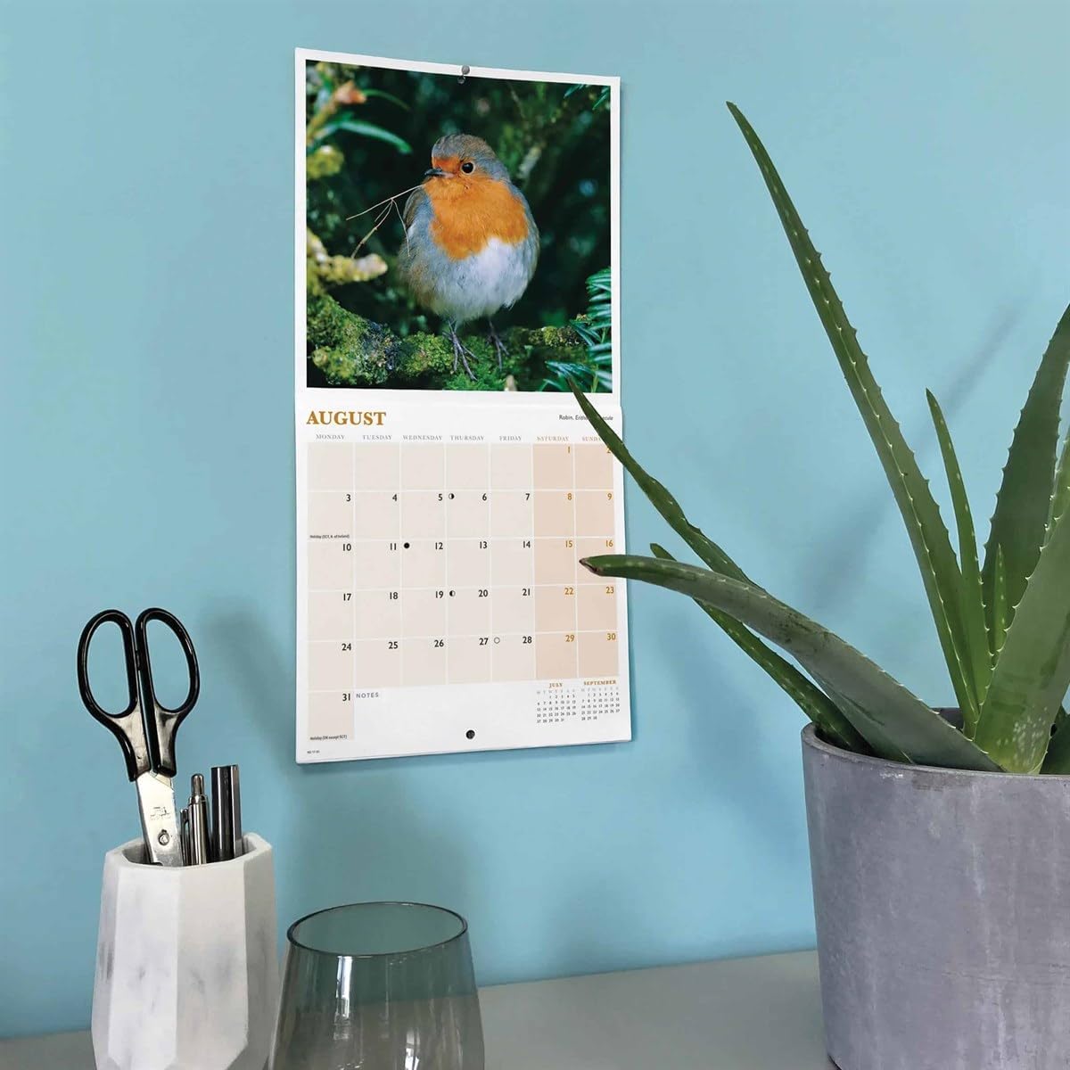 Carousel Worldwide, British Garden Birds 2026 Mini Wall Calendar