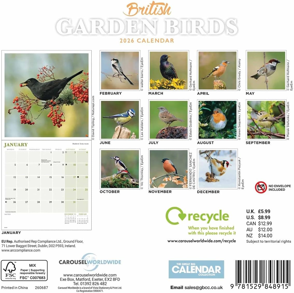 Carousel Worldwide, British Garden Birds 2026 Mini Wall Calendar