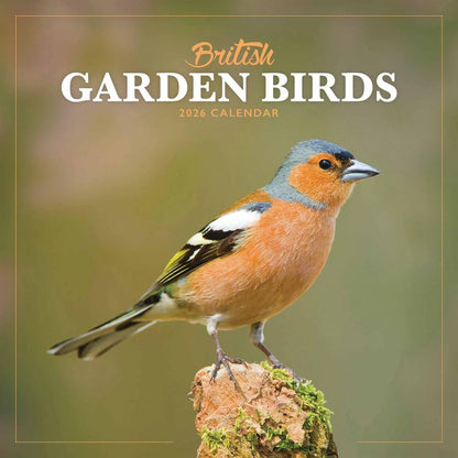 Carousel Worldwide, British Garden Birds 2026 Mini Wall Calendar