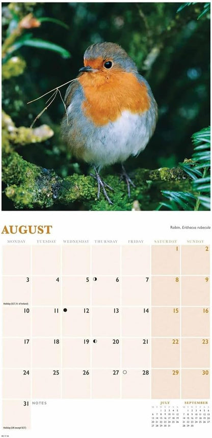Carousel Worldwide, British Garden Birds 2026 Mini Wall Calendar