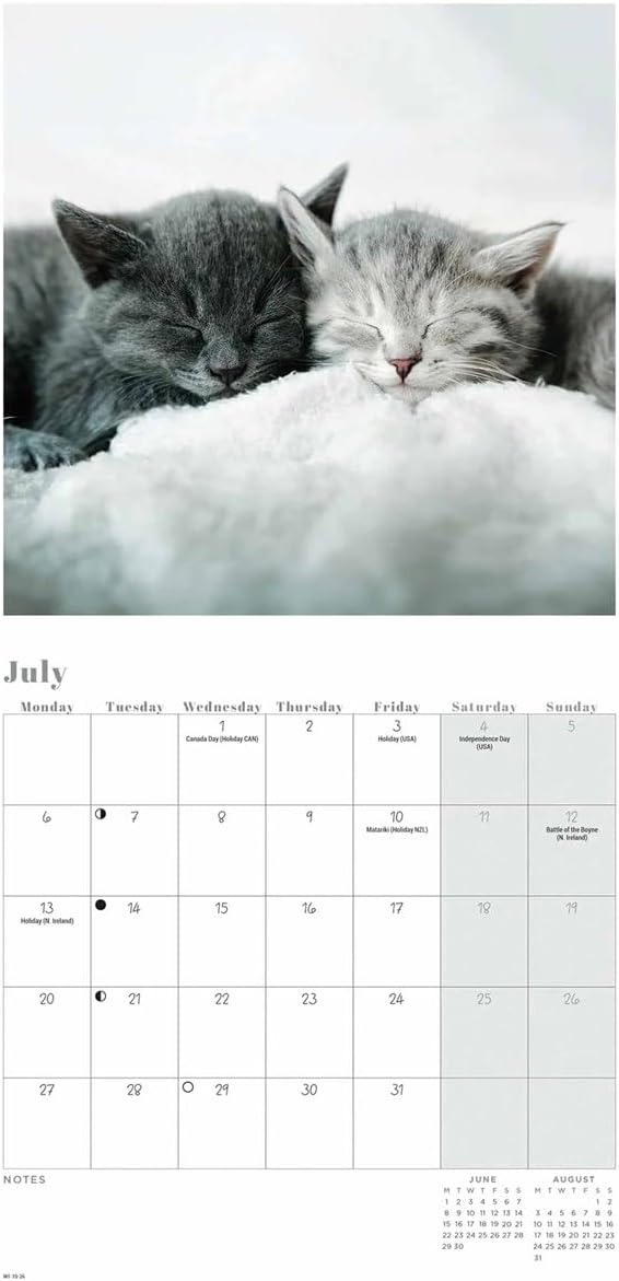 Carousel Worldwide, Cat Naps 2026 Mini Wall Calendar