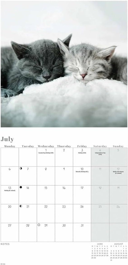 Carousel Worldwide, Cat Naps 2026 Mini Wall Calendar