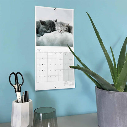 Carousel Worldwide, Cat Naps 2026 Mini Wall Calendar