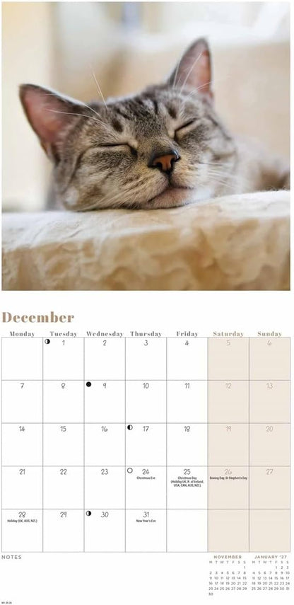 Carousel Worldwide, Cat Naps 2026 Mini Wall Calendar