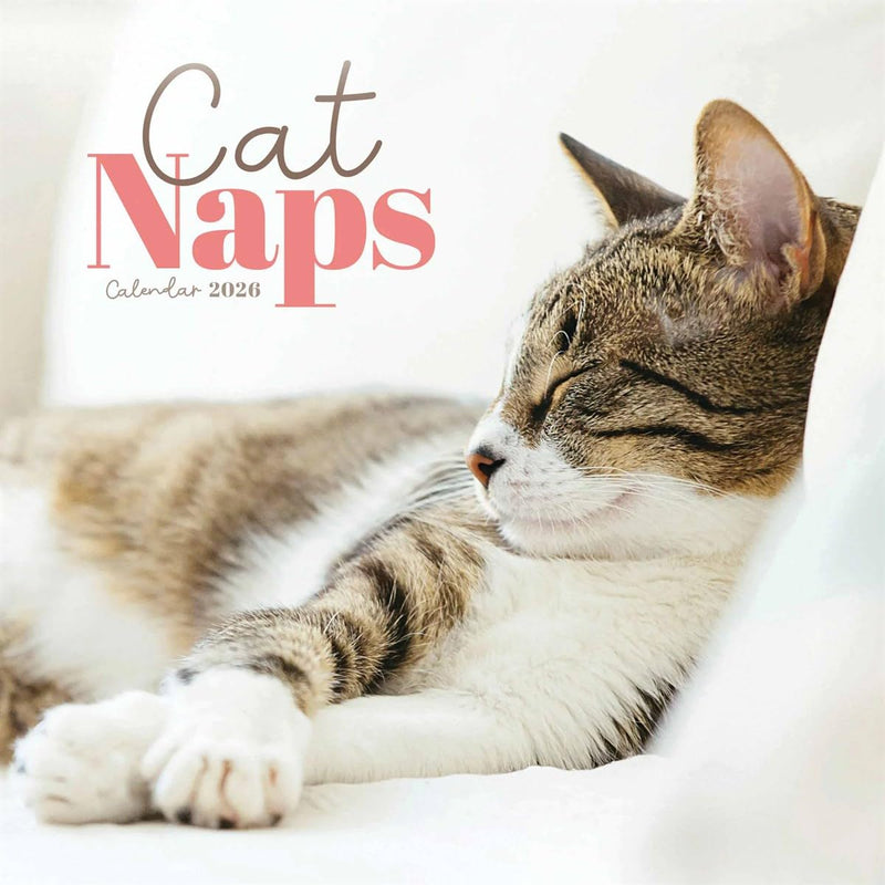 Carousel Worldwide, Cat Naps 2026 Mini Wall Calendar