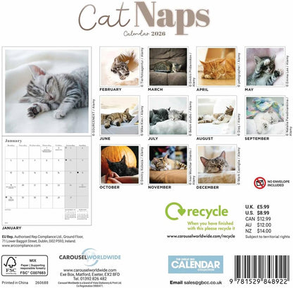 Carousel Worldwide, Cat Naps 2026 Mini Wall Calendar