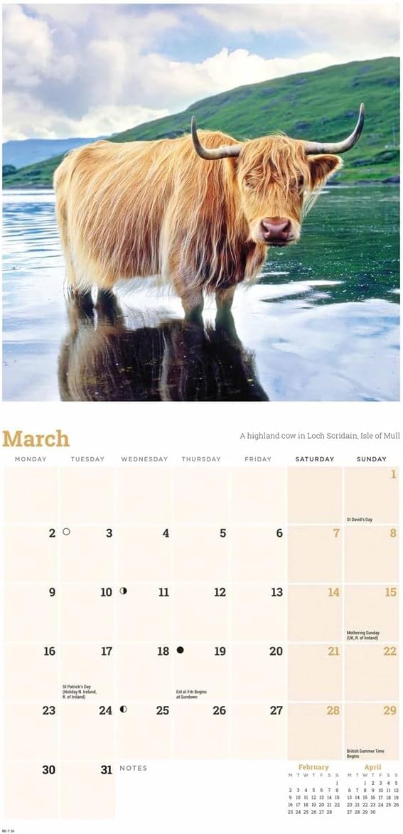 Carousel Worldwide, Scotland 2026 Mini Wall Calendar