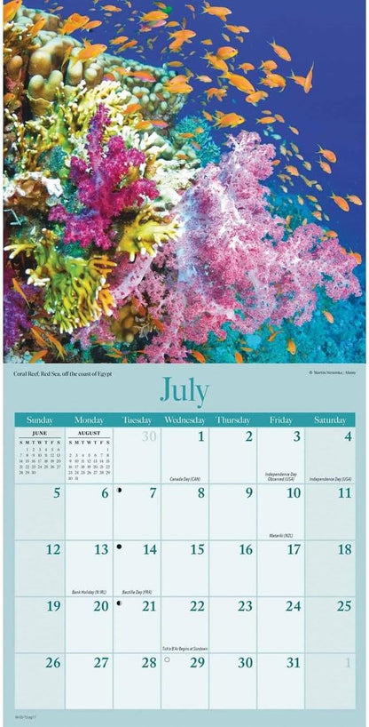 Carousel Worldwide, Amazing Planet 2026 Mini Wall Calendar