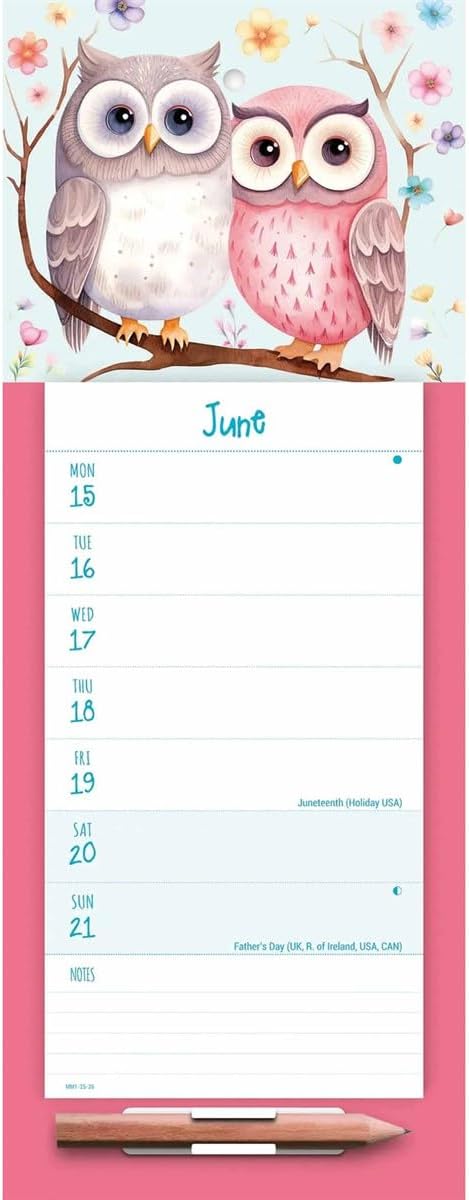 Carousel Worldwide, Twit Twoo 2026 Week-To-View Magnetic Calendar