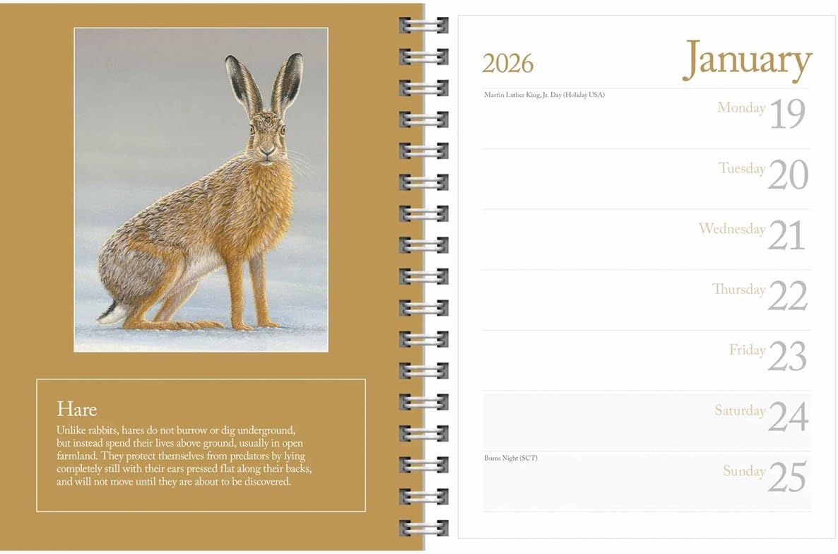 Carousel Worldwide British Wildlife in Art 2026 Deluxe Wire-O Diary Planner – Weekly & Monthly Organiser with Illustrated Designs