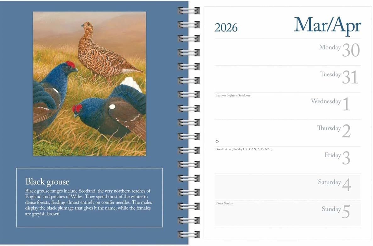 Carousel Worldwide British Wildlife in Art 2026 Deluxe Wire-O Diary Planner – Weekly & Monthly Organiser with Illustrated Designs