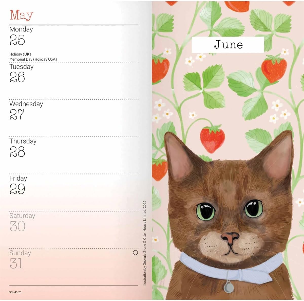 Carousel Worldwide, Cats 2026 Slim Diary Planner