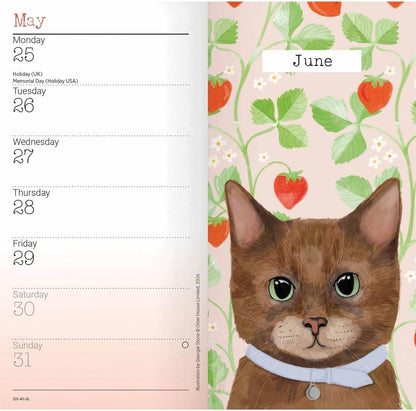 Carousel Worldwide, Cats 2026 Slim Diary Planner