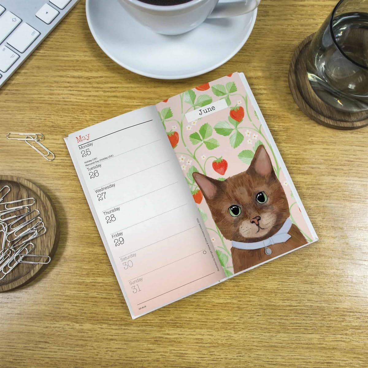 Carousel Worldwide, Cats 2026 Slim Diary Planner