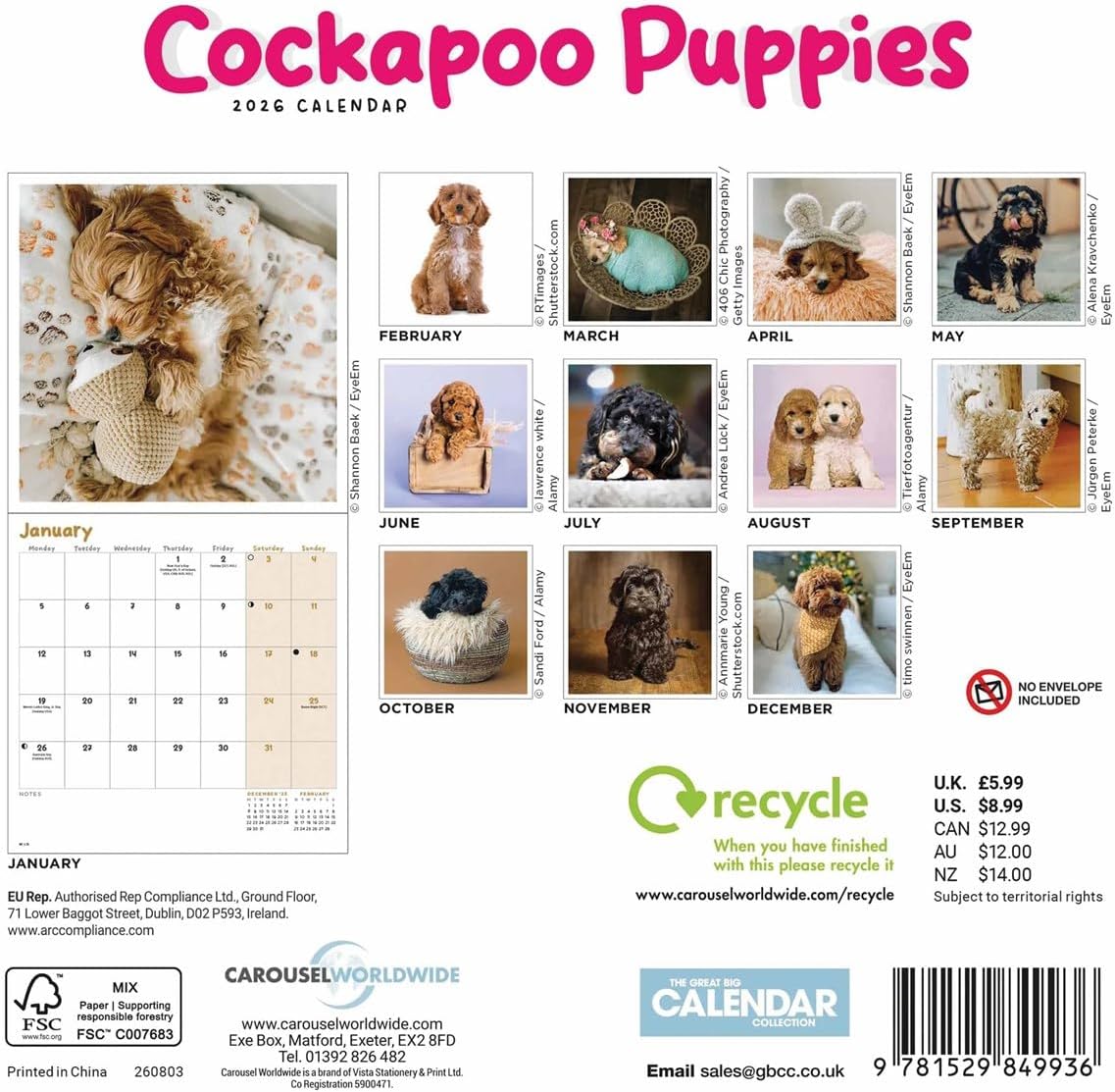 Carousel Worldwide, Cockapoo Puppies 2026 Mini Wall Calendar
