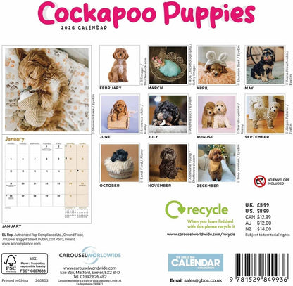 Carousel Worldwide, Cockapoo Puppies 2026 Mini Wall Calendar