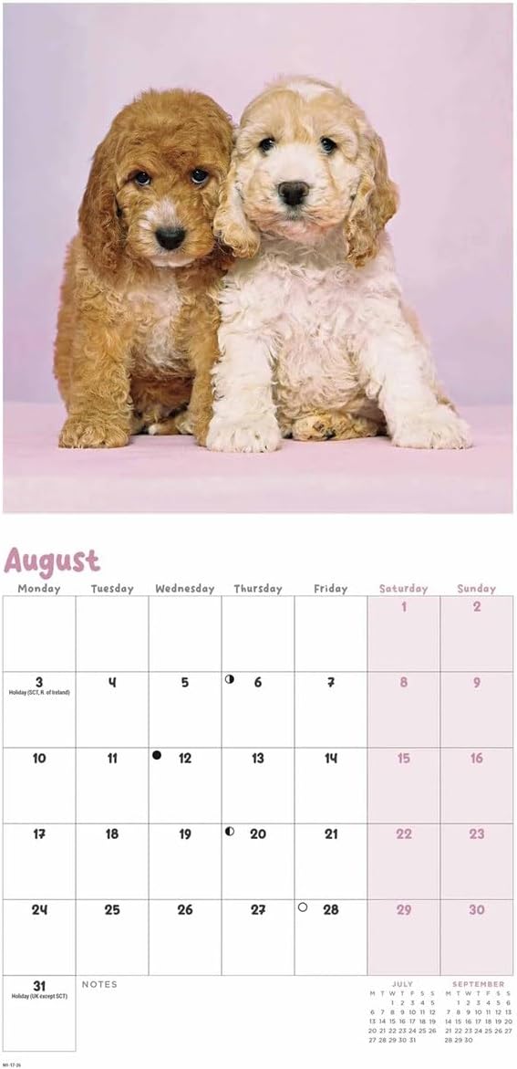 Carousel Worldwide, Cockapoo Puppies 2026 Mini Wall Calendar
