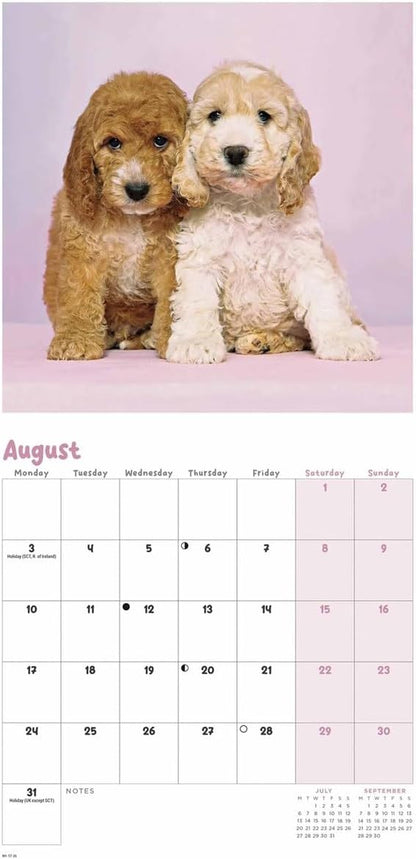 Carousel Worldwide, Cockapoo Puppies 2026 Mini Wall Calendar
