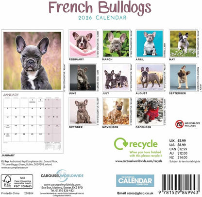 Carousel Worldwide, French Bulldogs 2026 Mini Wall Calendar