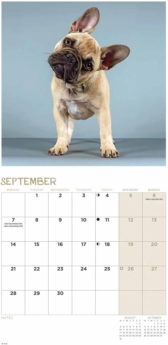 Carousel Worldwide, French Bulldogs 2026 Mini Wall Calendar