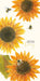 Carousel Worldwide Sunflowers 2026 Deluxe Slim Diary Planner – Week-to-View Pocket Diary, Bright Floral Cover, Organiser for Handbag or Jacket Pocket