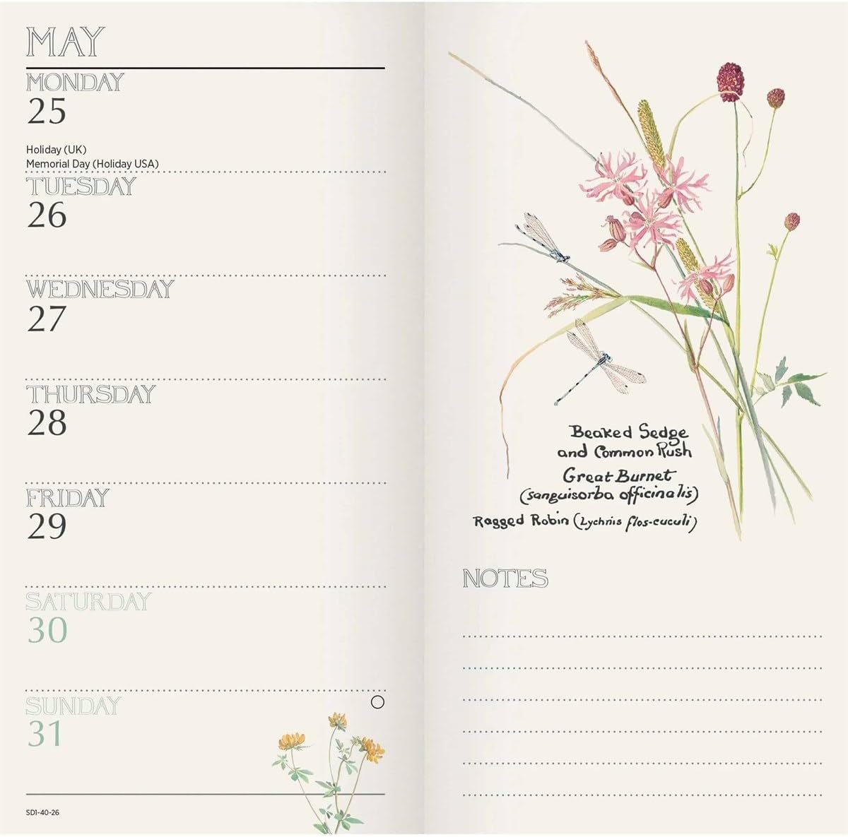 Carousel Worldwide, Edith Holden, Country 2026 Deluxe Slim Diary Planner