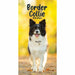 Carousel Worldwide, Border Collies 2026 Slim Diary Planner
