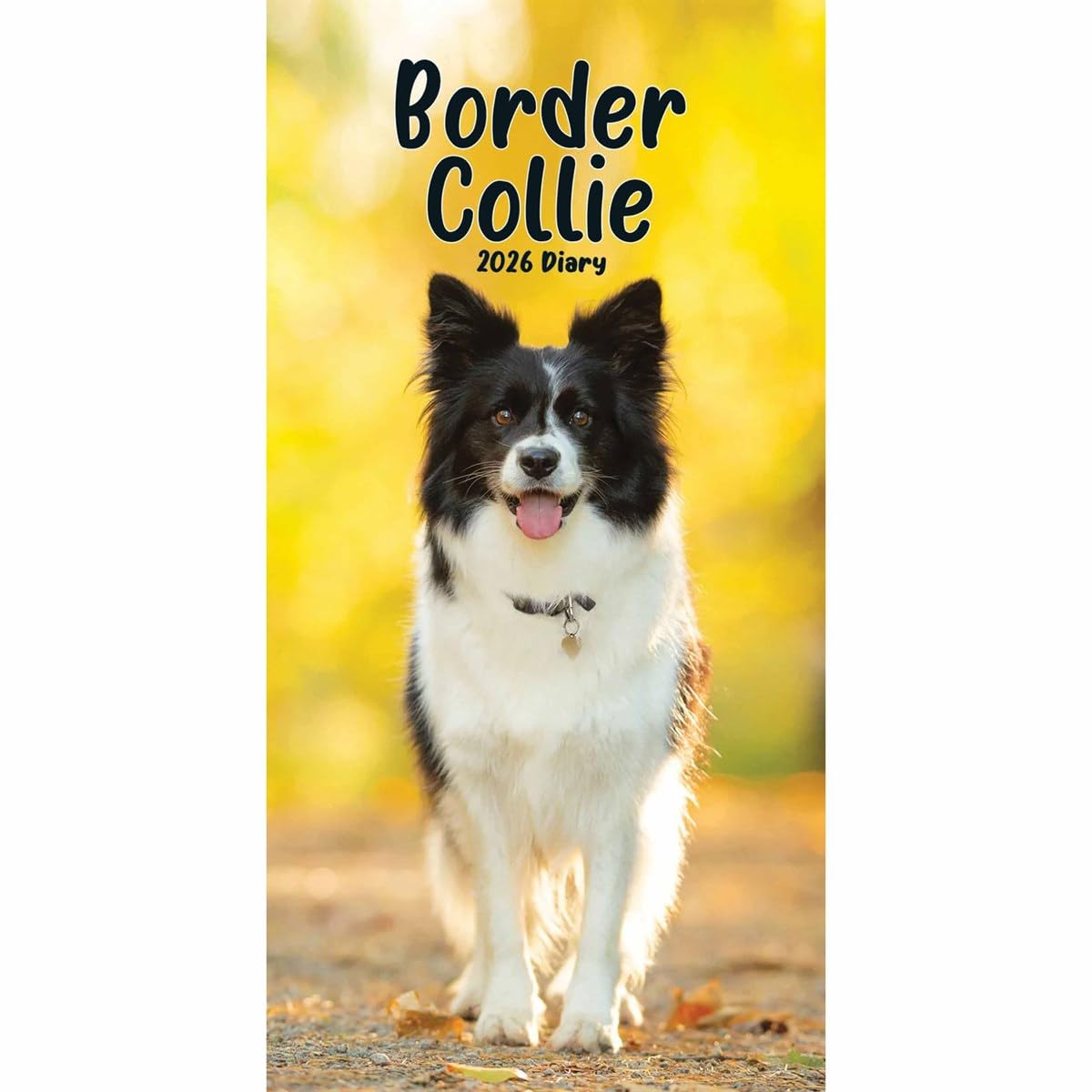Carousel Worldwide, Border Collies 2026 Slim Diary Planner