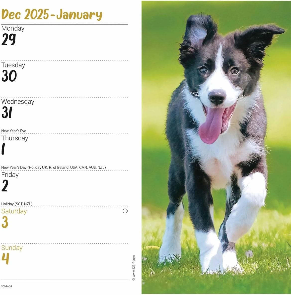 Carousel Worldwide, Border Collies 2026 Slim Diary Planner