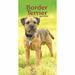 Carousel Worldwide, Border Terriers 2026 Slim Diary Planner