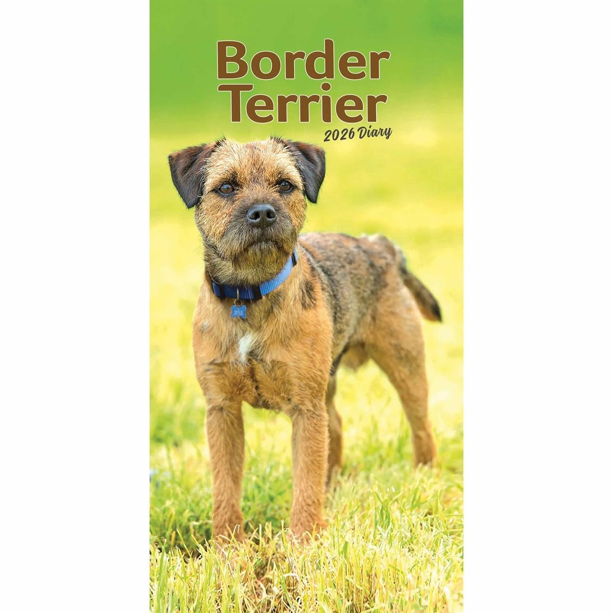 Carousel Worldwide, Border Terriers 2026 Slim Diary Planner
