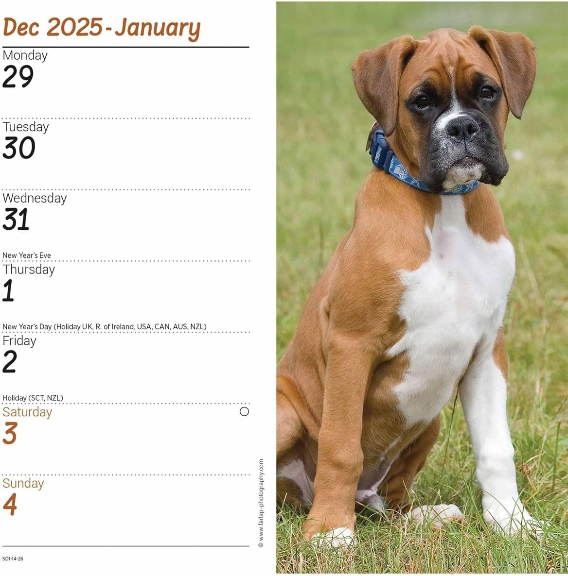 Carousel Worldwide, Boxers 2026 Slim Diary Planner